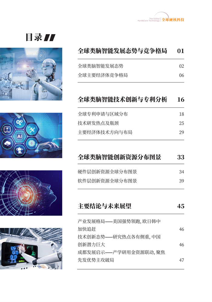 全球硬核科技2022第1期（全球類腦智能(néng)發(fā)展态勢與競争格局及資源圖景）_04.png